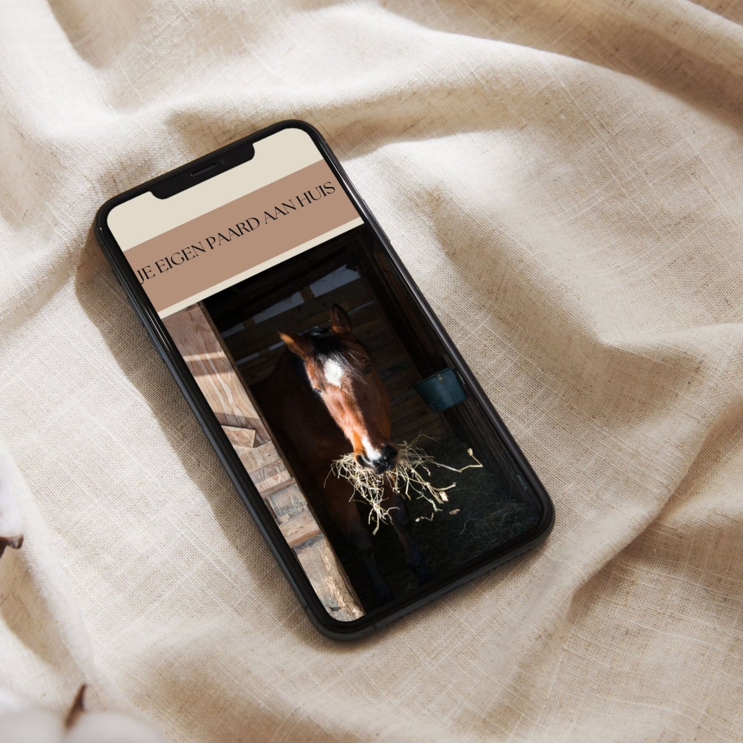 handige tips als jij voor de eerste keer je paard aan huis wilt houden.