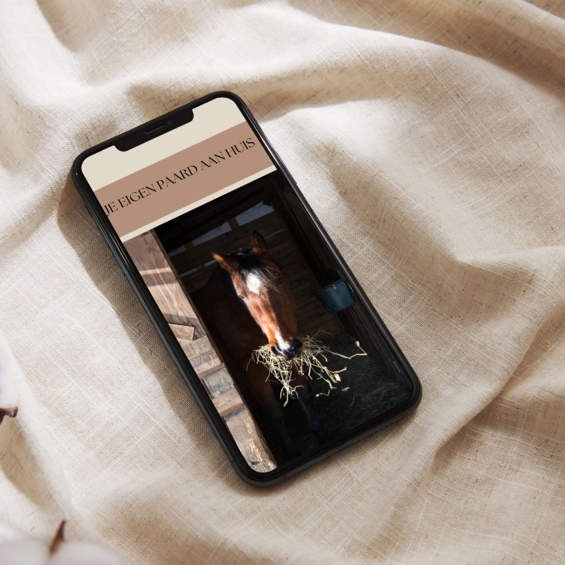 handige tips als jij voor de eerste keer je paard aan huis wilt houden.